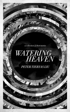 Peter Liu Watering Heaven обложка книги