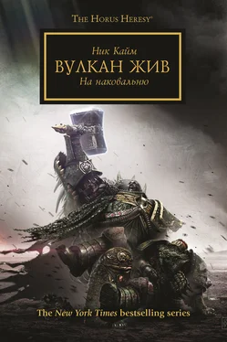 Ник Кайм Вулкан жив обложка книги