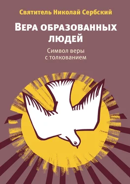 Николай Велимирович Вера образованных людей. Символ веры с толкованием обложка книги