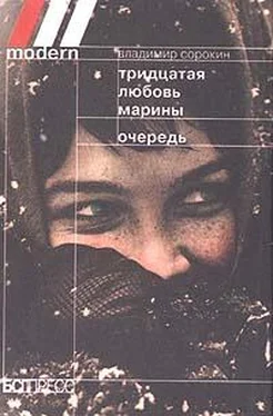 Владимир Сорокин Тридцатая любовь Марины обложка книги