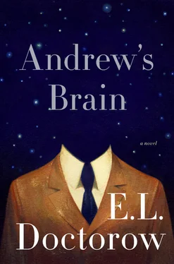 E. Doctorow Andrew's Brain