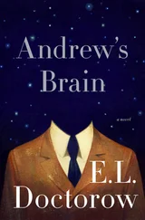 E. Doctorow - Andrew's Brain