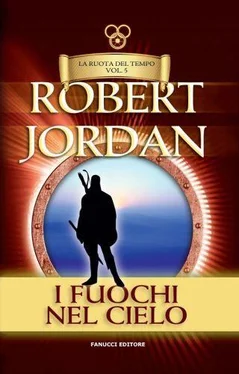 Robert Jordan I fuochi del cielo обложка книги