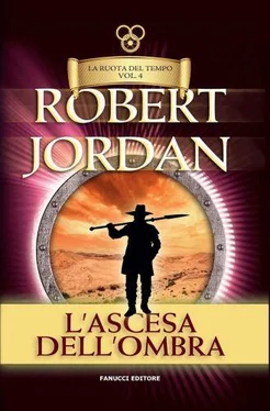 Robert Jordan L'ascesa dell'Ombra обложка книги