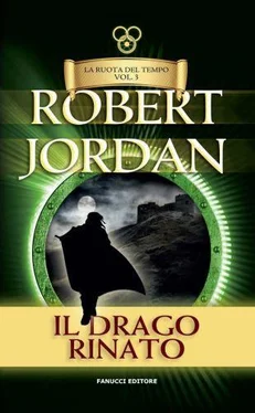 Robert Jordan Il Drago Rinato обложка книги