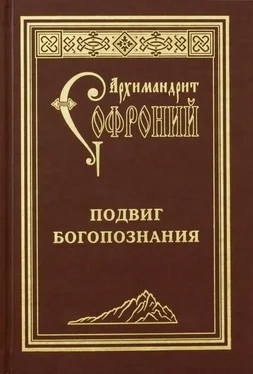 Софроний Сахаров Подвиг богопознания. Письма с Афона (к Д. Бальфуру) обложка книги