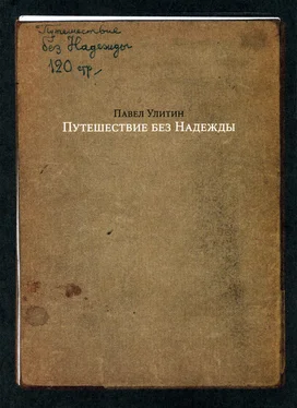 Павел Улитин Путешествие без Надежды обложка книги