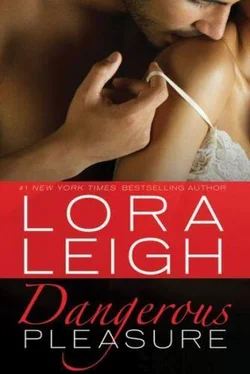 Lora Leigh Dangerous Pleasure обложка книги