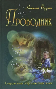 Наталья Берзина Проводник обложка книги