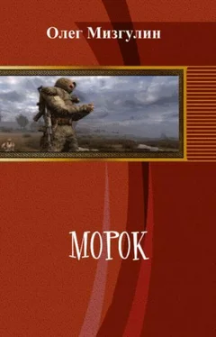 Олег Мизгулин Морок обложка книги
