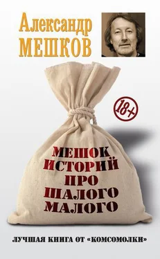 Александр Мешков Мешок историй про шалого малого обложка книги