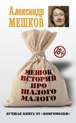 Александр Мешков - Мешок историй про шалого малого