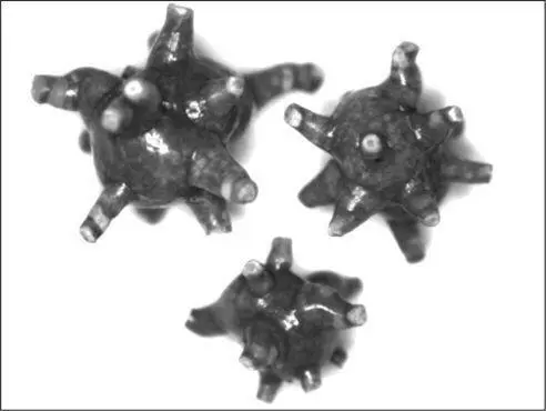 illustration credit i141 Today stones can be broken up using sound waves to - фото 41