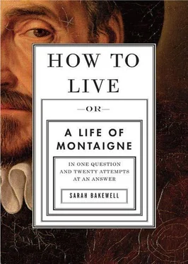 Sarah Bakewell How to Live : A Life of Montaigne in One Question and Twenty Attempts at an Answer обложка книги