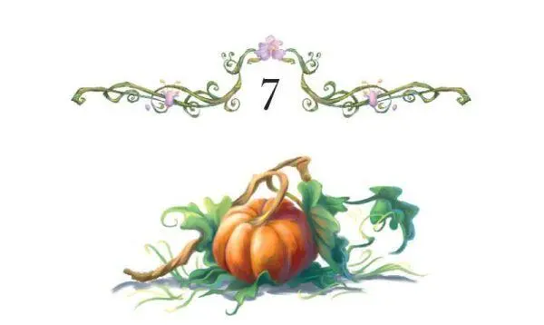 FIRST THING NEXT morning Bess started visiting other arttalent fairies to see - фото 23
