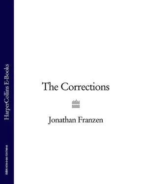 Jonathan Franzen The Corrections обложка книги