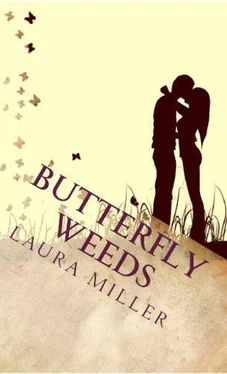 Laura Miller Butterfly Weeds
