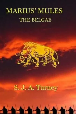 S. Turney The Belgae обложка книги