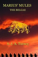 S. Turney - The Belgae