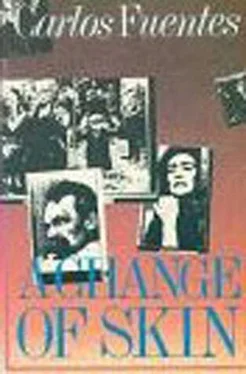 Carlos Fuentes A Change of Skin обложка книги