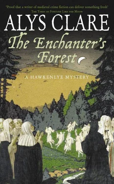 Alys Clare The Enchanter's Forest обложка книги