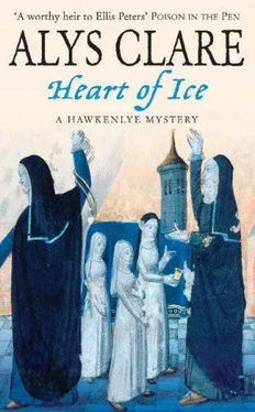 Alys Clare Heart of Ice обложка книги