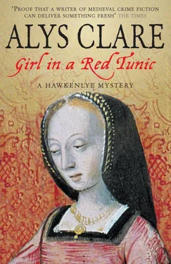 Alys Clare Girl In A Red Tunic обложка книги