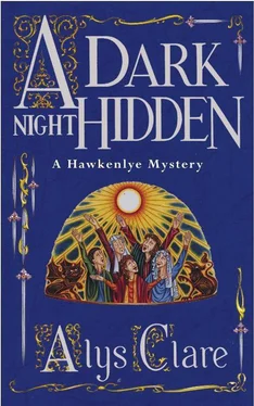 Alys Clare Dark Night Hidden обложка книги