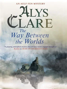 Alys Clare The Way Between the Worlds обложка книги