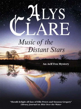 Alys Clare Music of the Distant Stars обложка книги