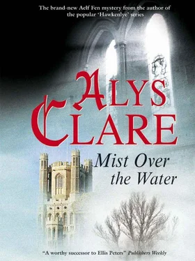 Alys Clare Mist Over the Water обложка книги