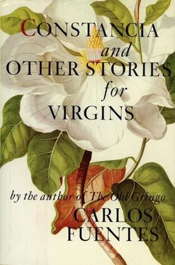 Carlos Fuentes Constancia and Other Stories for Virgins обложка книги