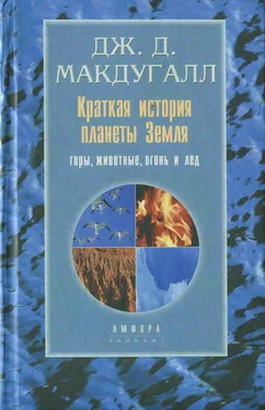 Дж. Д. Макдугалл Краткая история планеты Земля: горы, животные, огонь и лед обложка книги