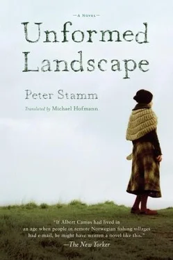 Peter Stamm Unformed Landscape обложка книги