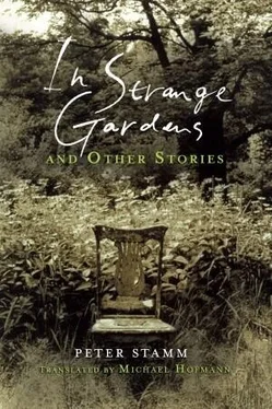 Peter Stamm In Strange Gardens and Other Stories обложка книги