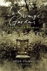 Peter Stamm - In Strange Gardens and Other Stories