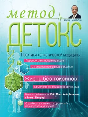 Ниш Джоши Метод «Детокс». Практики холистической медицины обложка книги