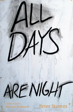 Peter Stamm All Days Are Night обложка книги