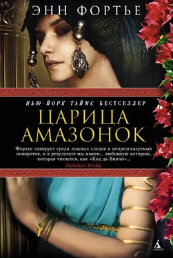 Энн Фортье Царица амазонок обложка книги