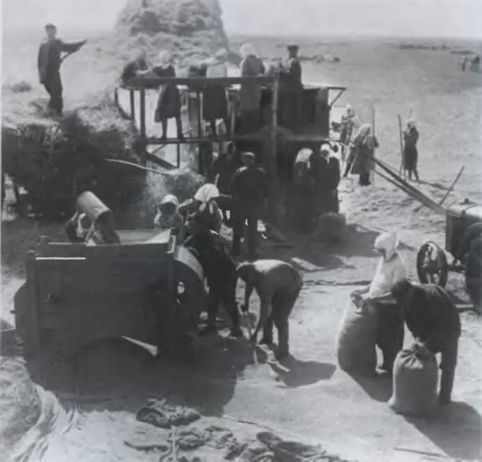Обмолот первого колхозного урожая Украина август 1929 г Студенты - фото 101