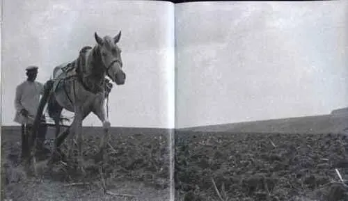 Коммунар пашет землю Украина 1925 г Крестьяне пашут землю 1934 г - фото 104