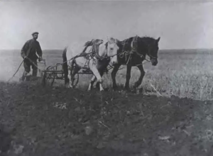 Распашка земли в Казахстане 1965 г Пахота Женщины и подростки тянут плуг - фото 107