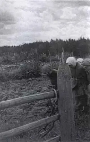 Пахота Женщины и подростки тянут плуг 1941 г Колхозницы пашут на коровах - фото 108