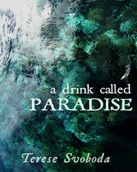 Terese Svoboda - A Drink Called Paradise