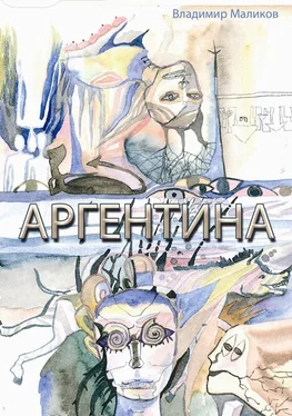 Владимир Маликов Аргентина обложка книги