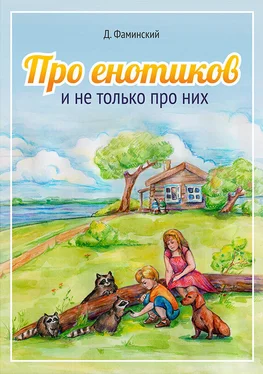 Дмитрий Фаминский Про енотиков и не только про них обложка книги