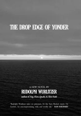 Rudolph Wurlitzer The Drop Edge of Yonder обложка книги