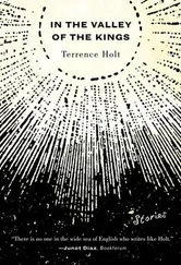 Terrence Holt - In the Valley of the Kings - Stories