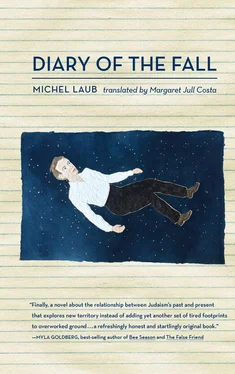 Michel Laub Diary of the Fall обложка книги