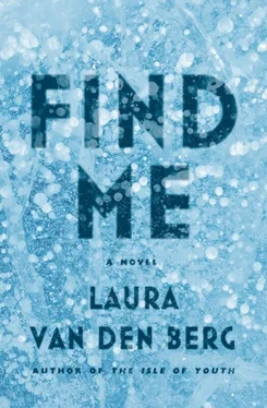 Laura van den Berg Find Me обложка книги